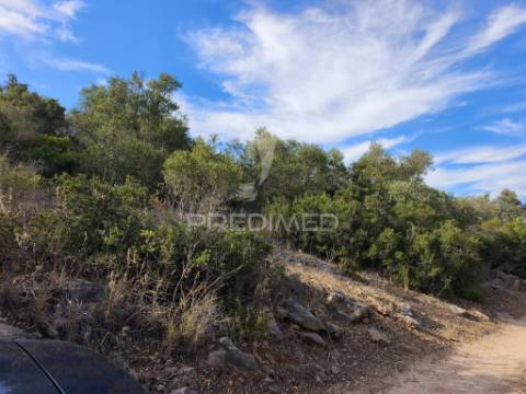 Albufeira-paderne matos cima - terreno rustico 23.520m2