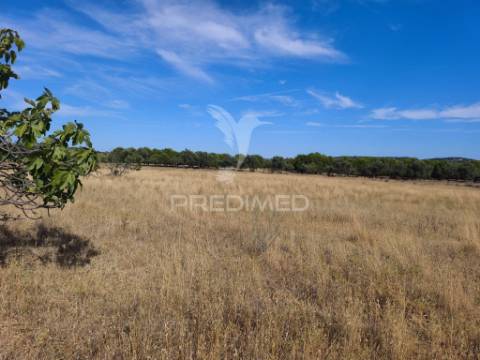 Albufeira-paderne montes elois -terreno rustico plano 24360m2