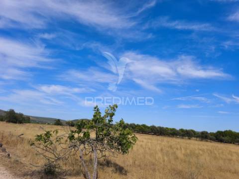 Albufeira-paderne montes elois -terreno rustico plano 24360m2