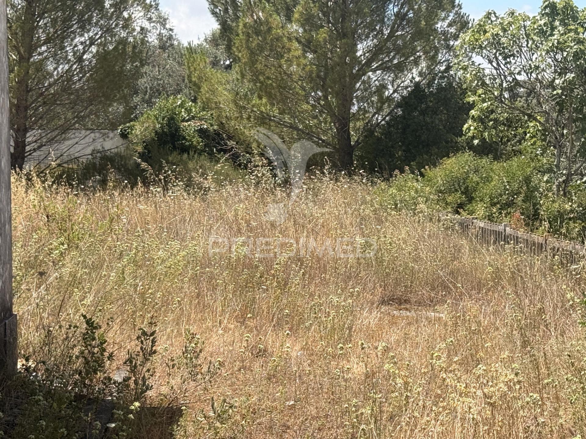 Antiga escola primária com projeto aprovado | lote 1.188 m² | piscina | peralva - tomar