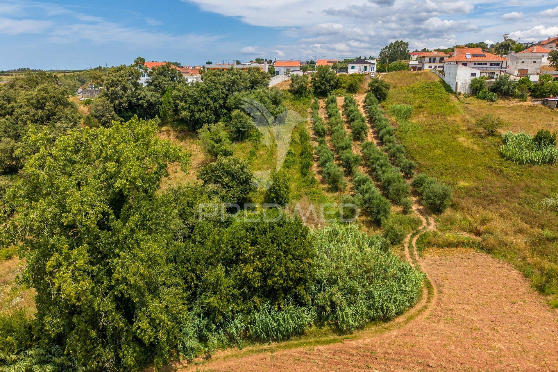 Terreno urbano com projeto de construção aprovado para comprar