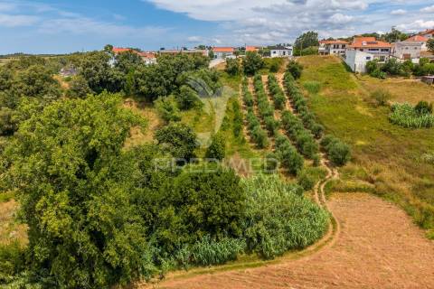 Terreno urbano com projeto de construção aprovado para comprar
