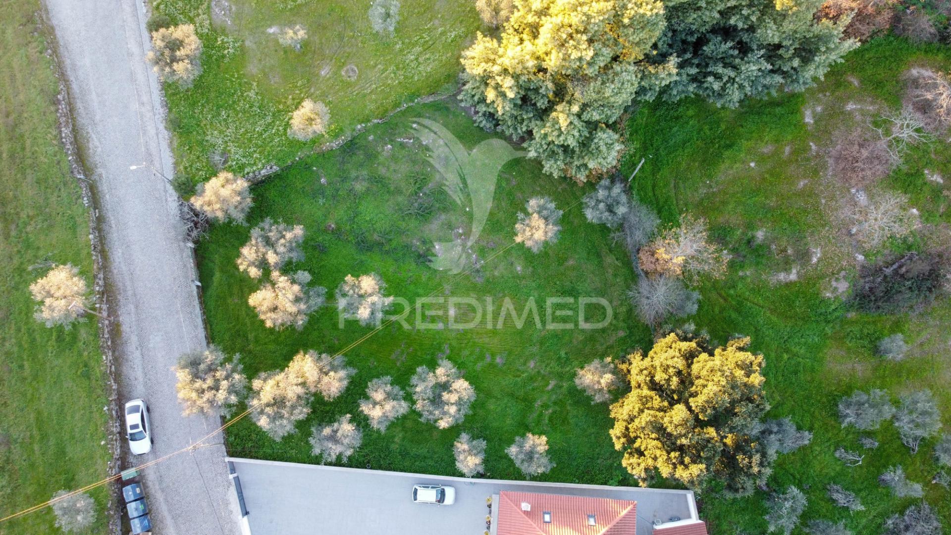 Terreno com viabilidade construtiva,  na ratoeira celorico da beira