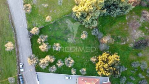 Terreno com viabilidade construtiva,  na ratoeira celorico da beira