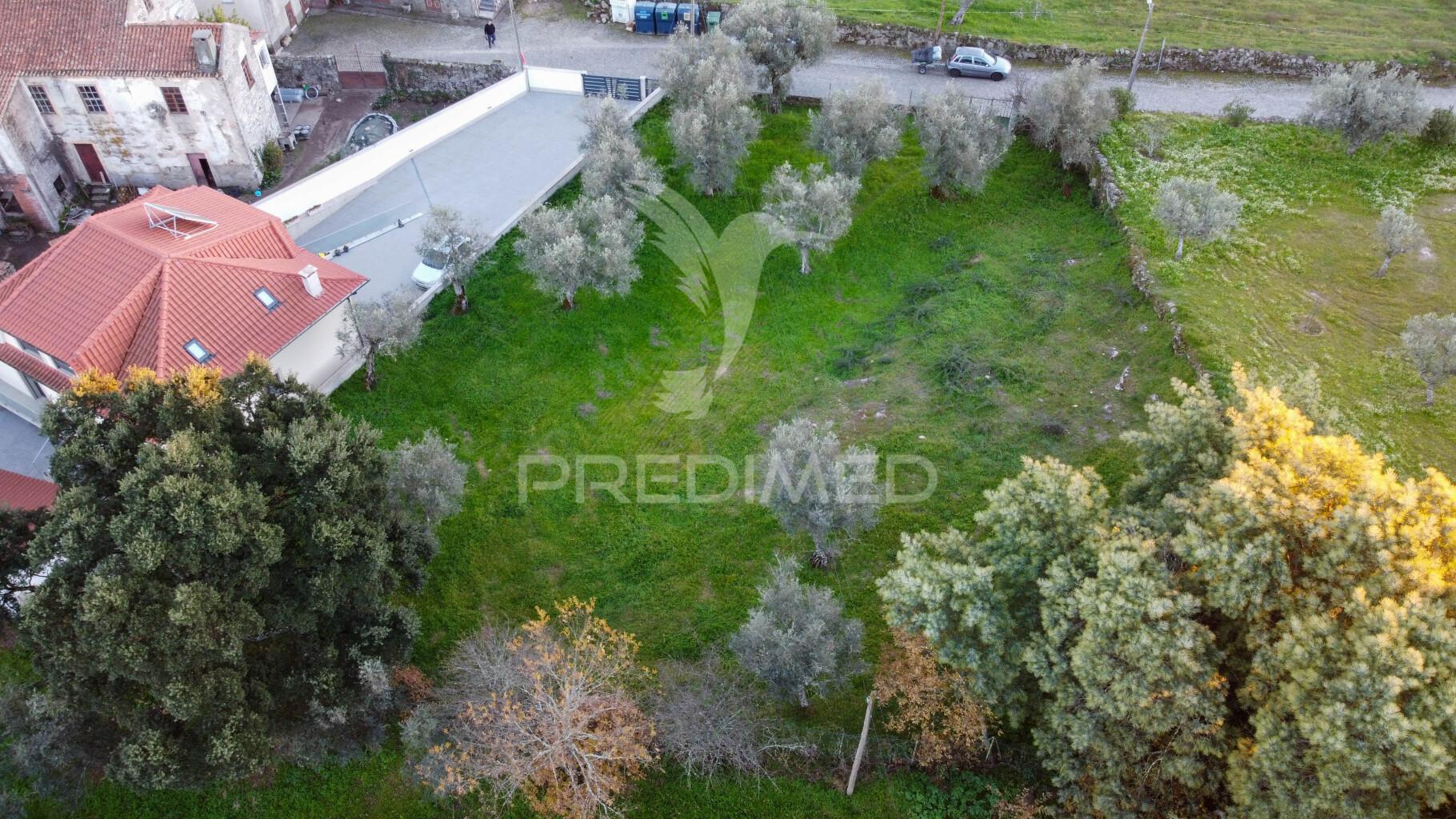 Terreno com viabilidade construtiva,  na ratoeira celorico da beira