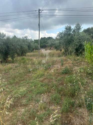 Terreno rustico