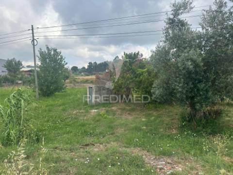 Terreno rustico