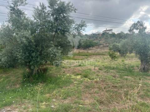 Terreno rustico