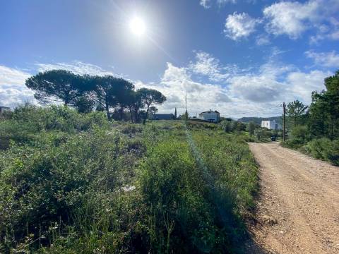 Terreno para construção em Palheira, Coimbra, para venda