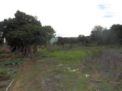 Terreno para loteamento