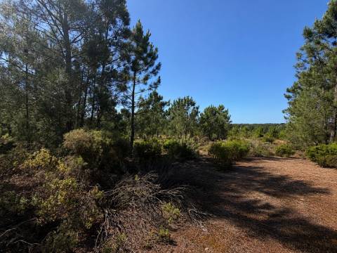 Oportunidade de investimento estratégico em Azeitão