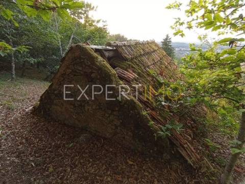 Terreno rústico com casa ade arrumos à venda em São Romão em plena Serra da Estrela - Seia