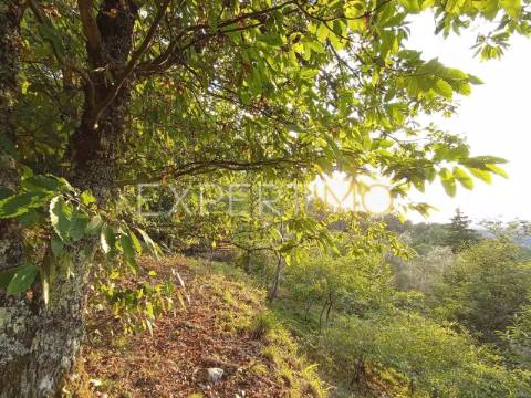 Terreno rústico com casa ade arrumos à venda em São Romão em plena Serra da Estrela - Seia