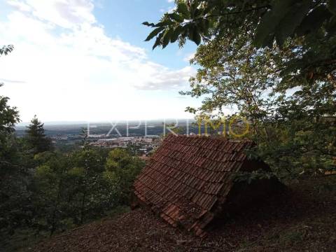 Terreno rústico com casa ade arrumos à venda em São Romão em plena Serra da Estrela - Seia