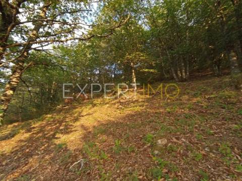 Terreno rústico com casa ade arrumos à venda em São Romão em plena Serra da Estrela - Seia