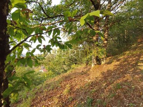 Terreno rústico com casa ade arrumos à venda em São Romão em plena Serra da Estrela - Seia