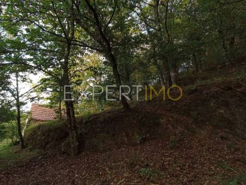 Terreno rústico com casa ade arrumos à venda em São Romão em plena Serra da Estrela - Seia