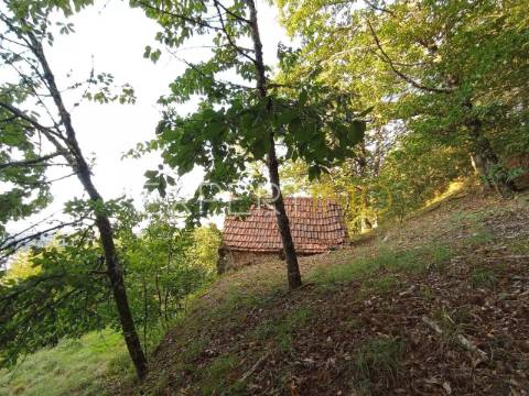 Terreno rústico com casa ade arrumos à venda em São Romão em plena Serra da Estrela - Seia