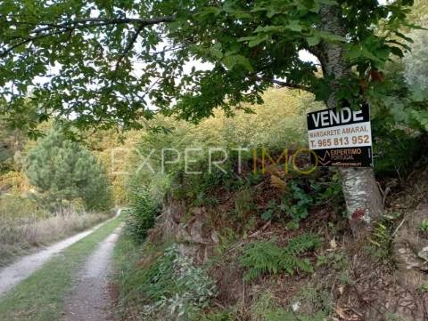 Terreno rústico com casa ade arrumos à venda em São Romão em plena Serra da Estrela - Seia