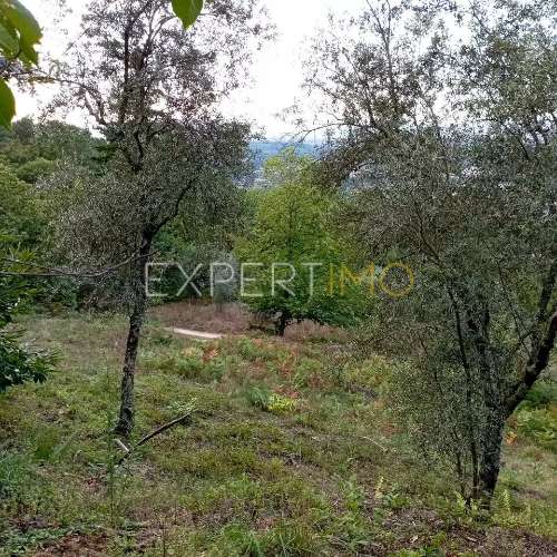 Terreno rústico com casa ade arrumos à venda em São Romão em plena Serra da Estrela - Seia