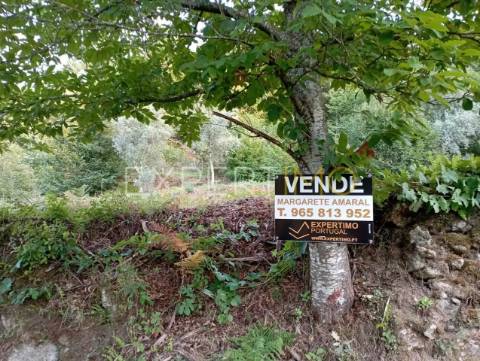 Terreno rústico com casa ade arrumos à venda em São Romão em plena Serra da Estrela - Seia
