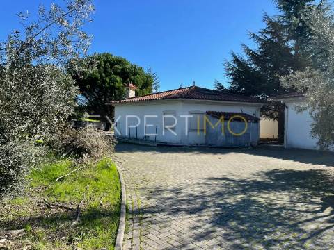 Moradia T4 com Piscina e Anexo Independente|Pombal