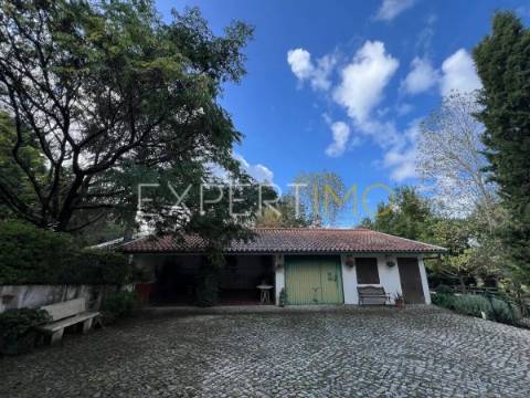 Quinta com moradia T3, anexos, cavalariças em 20000m2 de terreno, São Silvestre, Coimbra