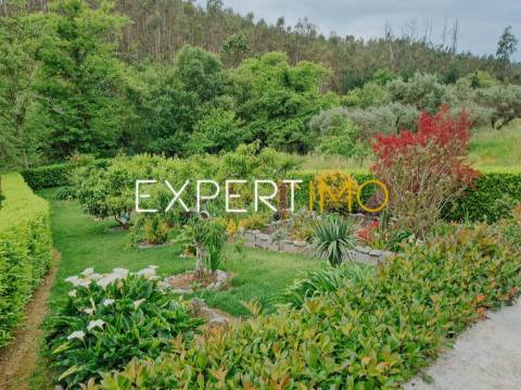 Moradia T3 em Vale Paredes, Mortágua - 383.000€