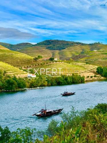 Moradia no Douro - Casa de Refúgio - Investimento - Pronta a Viver e Rentabilizar