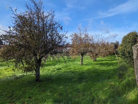Terreno Para Construção  Venda em Pedrógão Grande,Pedrógão Grande