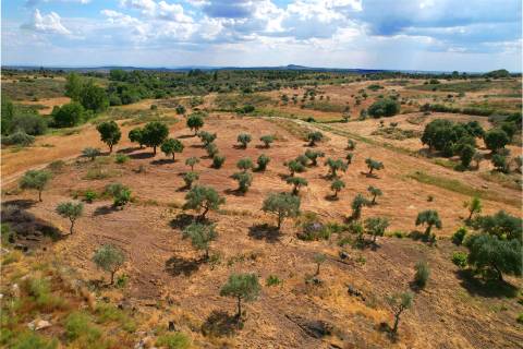 Quinta T3 Venda em Monsanto e Idanha-a-Velha,Idanha-a-Nova