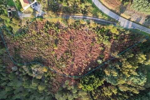 Terreno Para Construção  Venda em Alvares,Góis