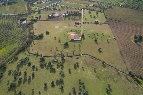 Quinta T4 Venda em Redondo,Redondo