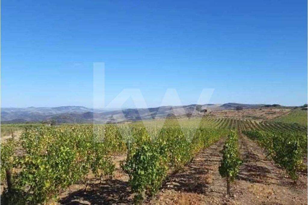 **Terreno rústico com vista rio em Seixas, Vila Nova de Foz Côa**