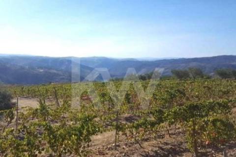 **Terreno rústico com vista rio em Seixas, Vila Nova de Foz Côa**