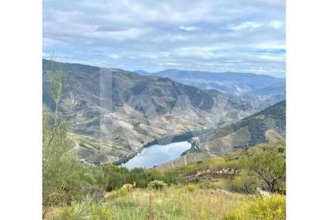 **Terreno rústico com vista rio em Seixas, Vila Nova de Foz Côa**