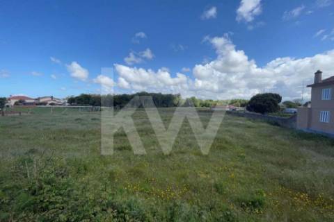 **TERRENO DE 5.050 M² NA MURTOSA COM ÁREA DE CONSTRUÇÃO DELIMITADA**