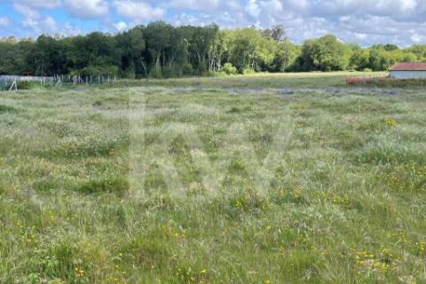 **TERRENO DE 5.050 M² NA MURTOSA COM ÁREA DE CONSTRUÇÃO DELIMITADA**