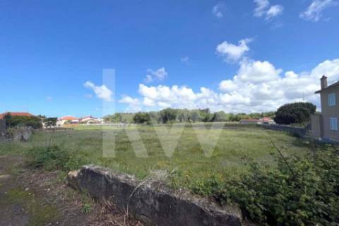 **TERRENO DE 5.050 M² NA MURTOSA COM ÁREA DE CONSTRUÇÃO DELIMITADA**
