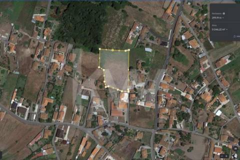 **TERRENO DE 5.050 M² NA MURTOSA COM ÁREA DE CONSTRUÇÃO DELIMITADA**