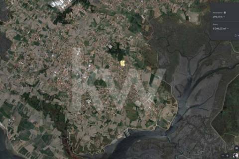 **TERRENO DE 5.050 M² NA MURTOSA COM ÁREA DE CONSTRUÇÃO DELIMITADA**