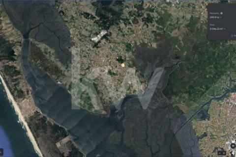 **TERRENO DE 5.050 M² NA MURTOSA COM ÁREA DE CONSTRUÇÃO DELIMITADA**