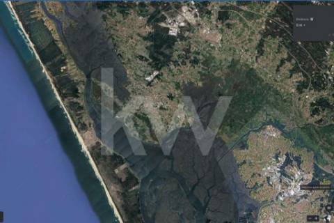 **TERRENO DE 5.050 M² NA MURTOSA COM ÁREA DE CONSTRUÇÃO DELIMITADA**