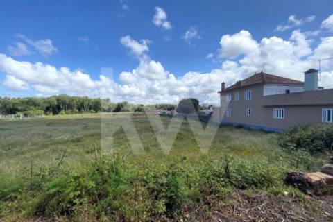 **TERRENO DE 5.050 M² NA MURTOSA COM ÁREA DE CONSTRUÇÃO DELIMITADA**