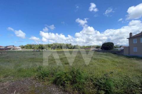 **TERRENO DE 5.050 M² NA MURTOSA COM ÁREA DE CONSTRUÇÃO DELIMITADA**