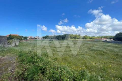 **TERRENO DE 5.050 M² NA MURTOSA COM ÁREA DE CONSTRUÇÃO DELIMITADA**