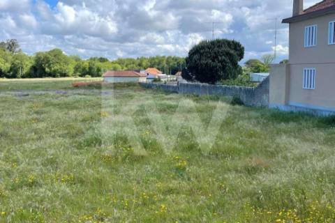 **TERRENO DE 5.050 M² NA MURTOSA COM ÁREA DE CONSTRUÇÃO DELIMITADA**