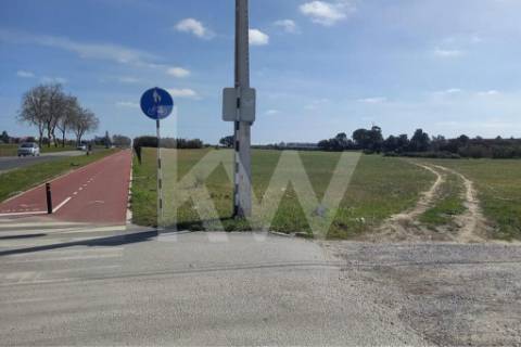 🏗️ TERRENO INDUSTRIAL | 75.000 m² | MONTIJO