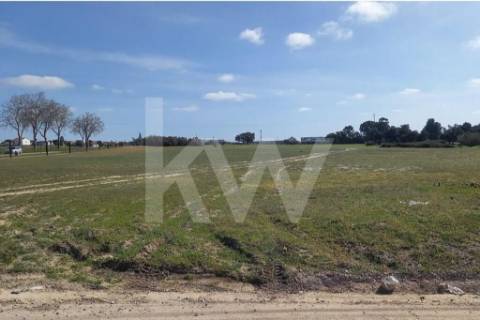 🏗️ TERRENO INDUSTRIAL | 75.000 m² | MONTIJO