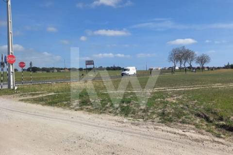 🏗️ TERRENO INDUSTRIAL | 75.000 m² | MONTIJO